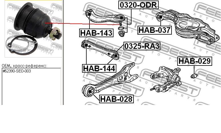Rótula,Suspensión de eje trasero, superior para Honda Accord (CL, CM)