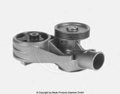 Motor de agua Meyle 0130120039