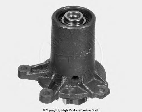 Bombeadora de agua Meyle 0330266600 precio, desde 64,81 EUR