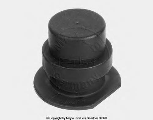 Tapón de culata Seat Ibiza 4 6J5, 6P1