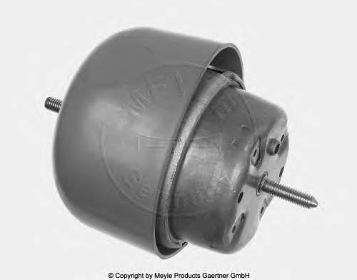 Soporte de motor derecho 1001990048 Meyle