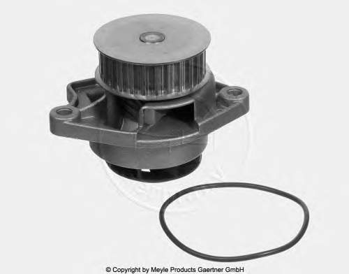 Comprar RD150165431 Rider Bomba de agua para motor