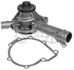 Comprar 10150018 Swag Bomba de agua para motor