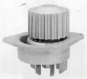 C111 Dolz Bomba refrigerante coche