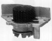 Motor de agua Dolz C117
