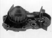 R124 Dolz