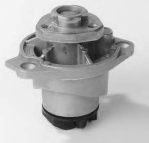 Comprar A192 Dolz Bomba de agua para motor