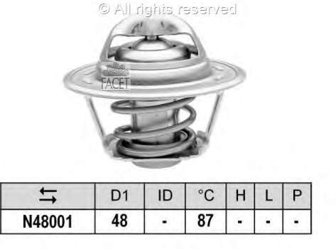 78374S Facet Termostato de agua