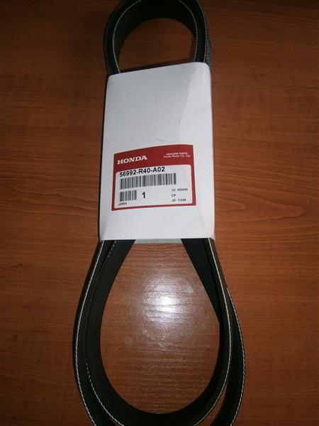 56992R40A01 Honda Correa poly v