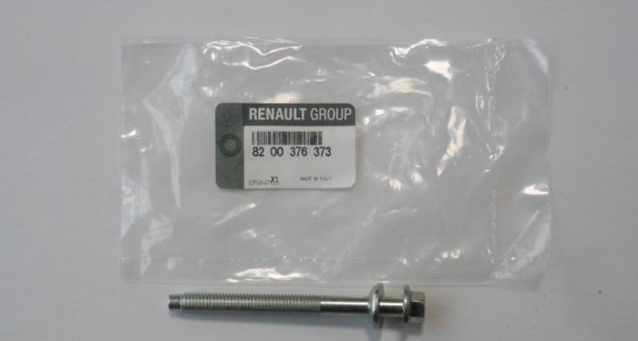 8200376373 Renault (RVI) tornillo, soporte inyector