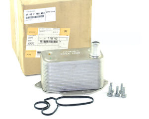 Comprar 11427788462 BMW Radiador de aceite debajo del filtro