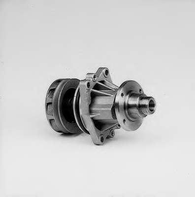 Motor de agua Hepu P462