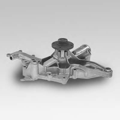 P147 Hepu
