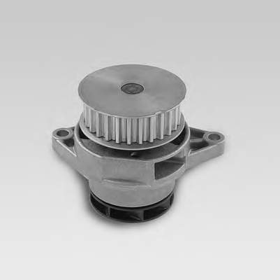 Motor de agua Hepu P558