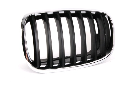 Comprar 51137157687 BMW Rejilla izquierda