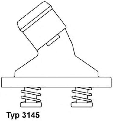 Termostato, refrigerante 314579D Wahler