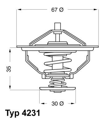 423184D Wahler termostato, refrigerante