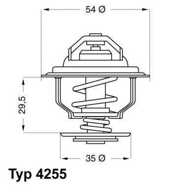 425587D Wahler Termostato de agua