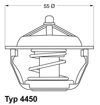 445083D Wahler Termostato de agua