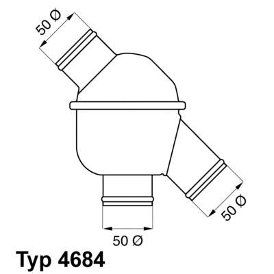 Caja del termostato 725171 NRF