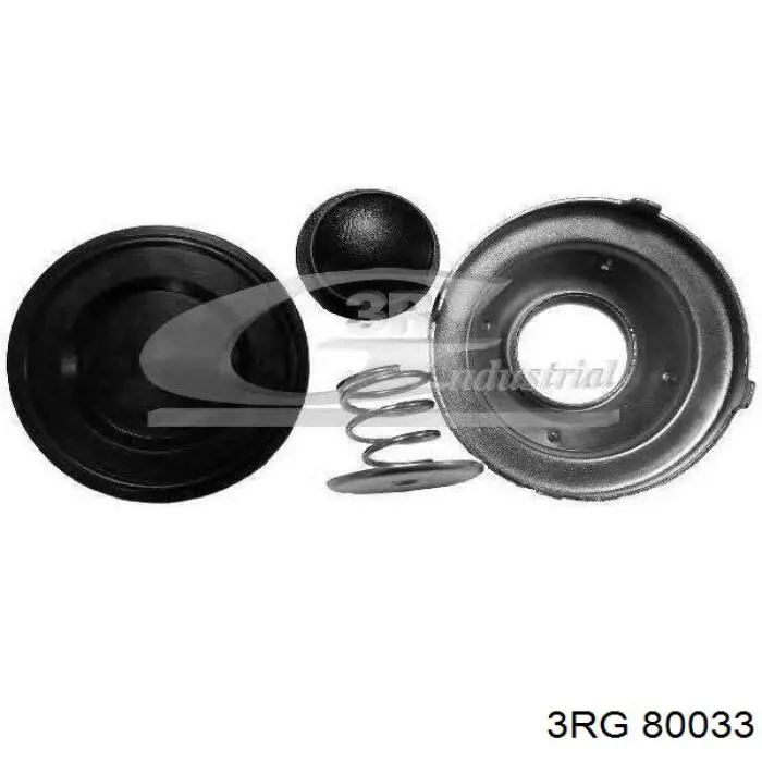 Juego de reparación de bomba de cebado de combustible 3RG 80033 precio, desde 6,36 EUR