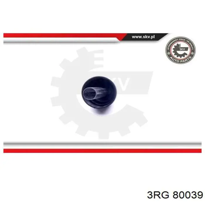 Comprar 80039 3RG Válvula de retorno de combustible