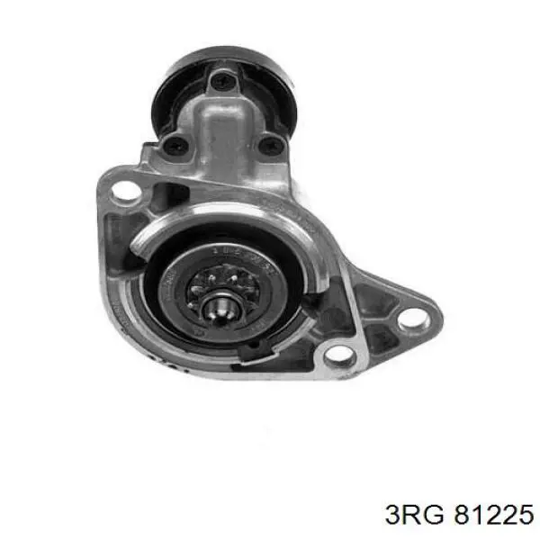 Comprar 81225 3RG Varilla aceite