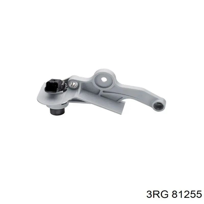 81255 3RG Medidor de aceite