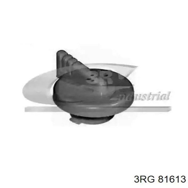 Tapon de aceite  3RG 81613 precio, desde 3,87 EUR