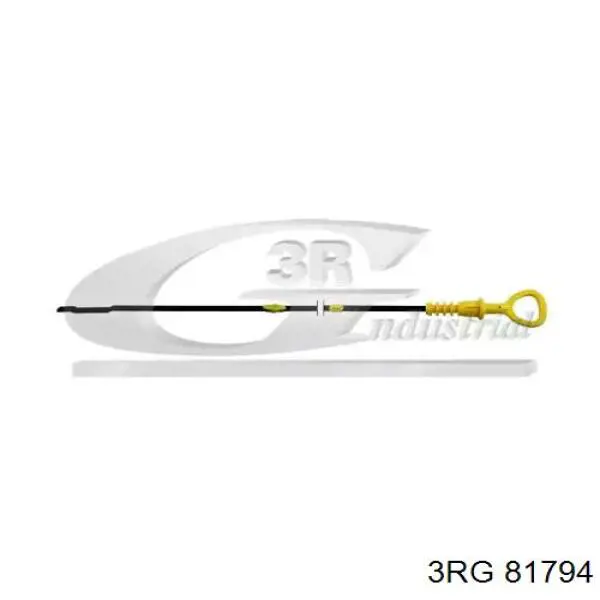 81794 3RG Medidor de aceite