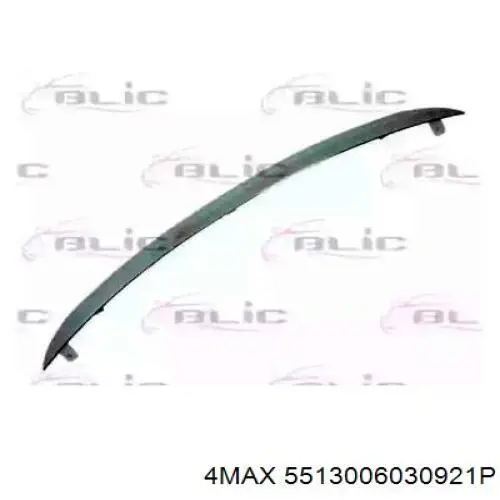 Comprar Moldura de capó Renault Clio SYMBOL LU