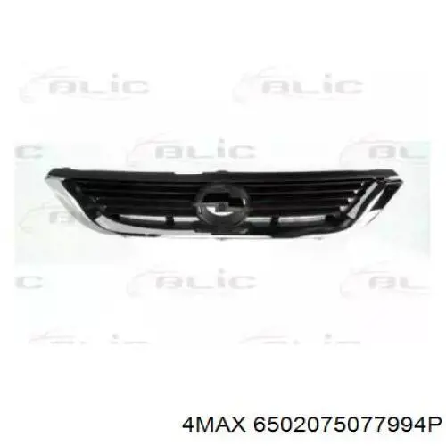 6502-07-5077994P 4max panal de radiador