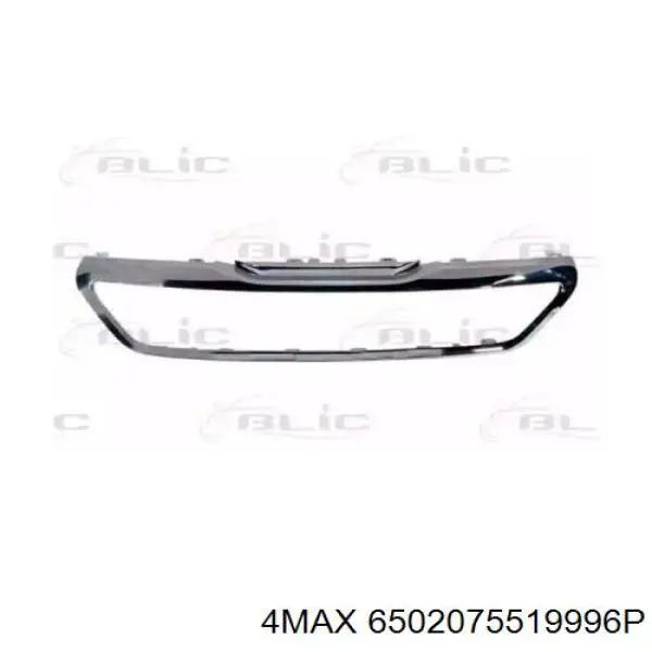 Moldura de la rejilla del radiador 4max 6502075519996P precio, desde 86,33 EUR