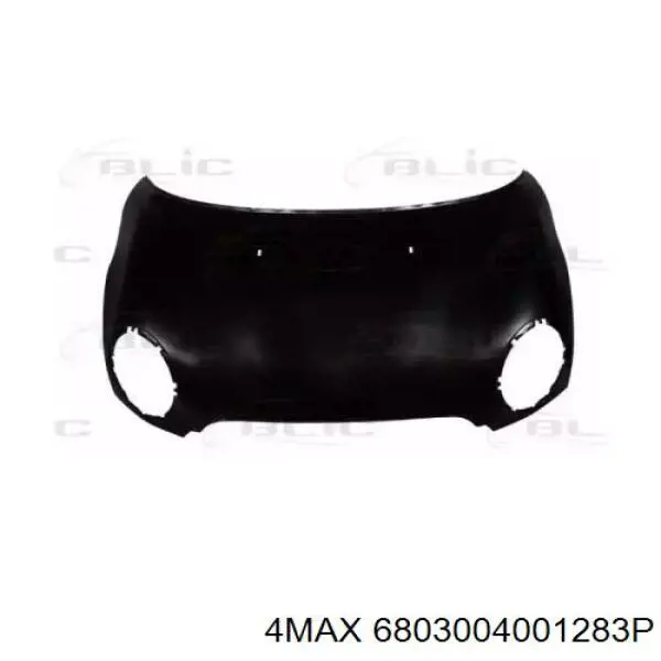 Comprar 41612754741 BMW Capó