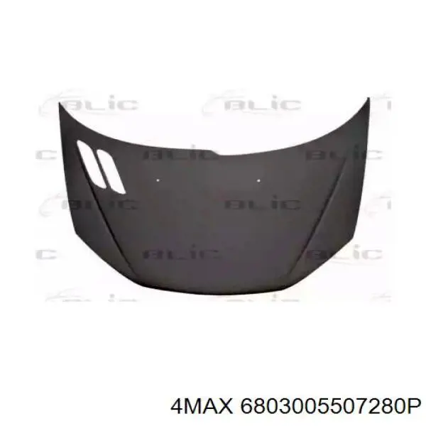 Capó del motor Platinum 5507280EC precio, desde 46,46 EUR