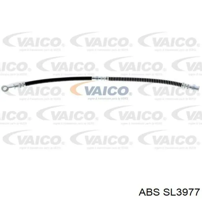 Latiguillos de freno delantero ABS SL3977 precio, desde 12,86 EUR