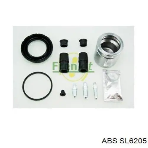 Latiguillos de freno delantero 8200552980 Renault (RVI)