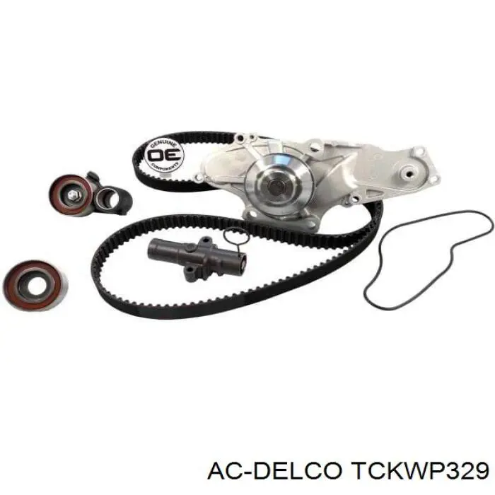 Kit correa de distribución para Honda Accord VII CL, CM