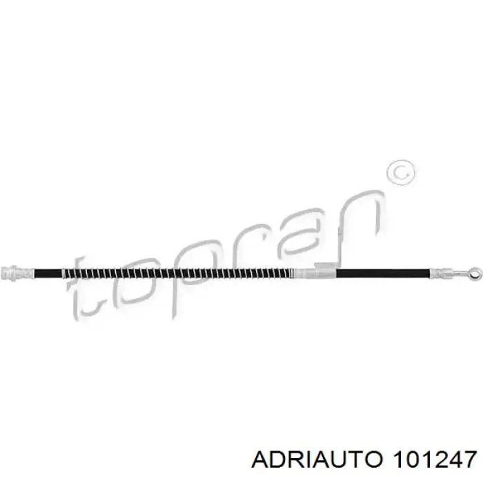 10.1247 Adriauto tubo flexible de frenos delantero izquierdo