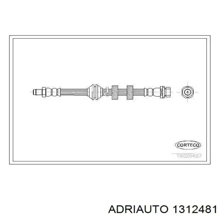 13.1248.1 Adriauto latiguillo de freno delantero