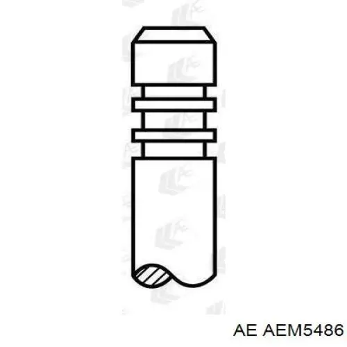 AEM5486 AE juego de cojinetes de cigüeñal, estándar, (std)