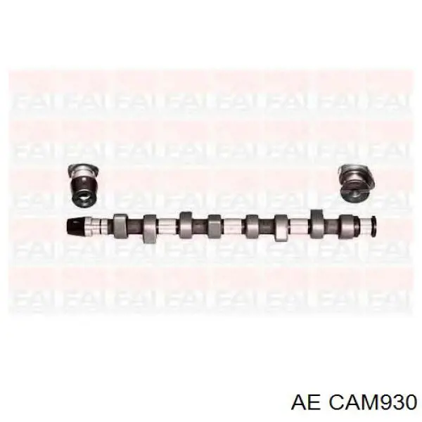 030109101BG VAG Kit árbol de levas