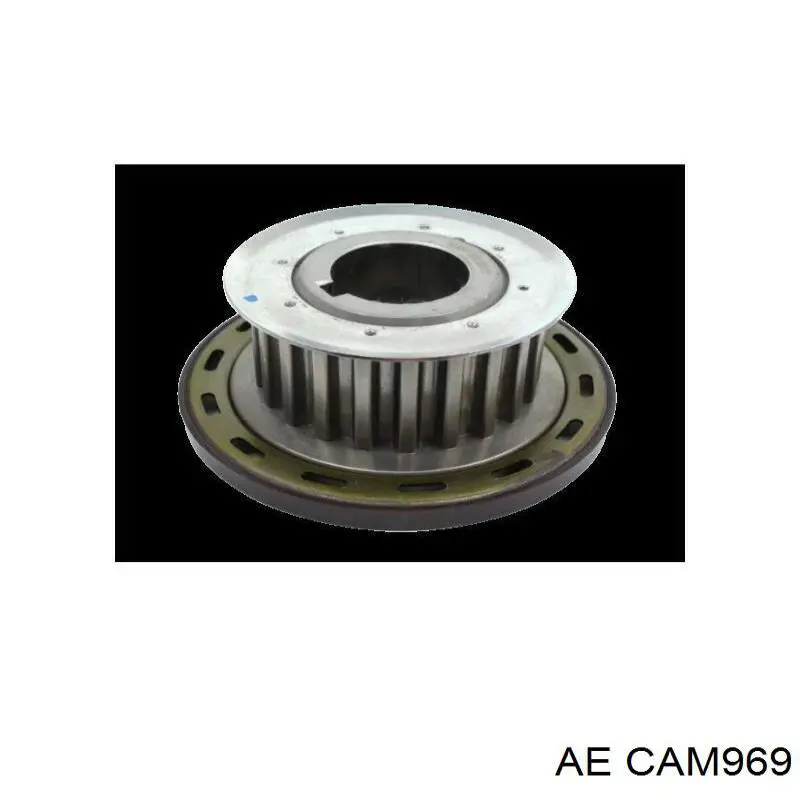 Árboles de levas AE CAM969 precio, desde 134,48 EUR