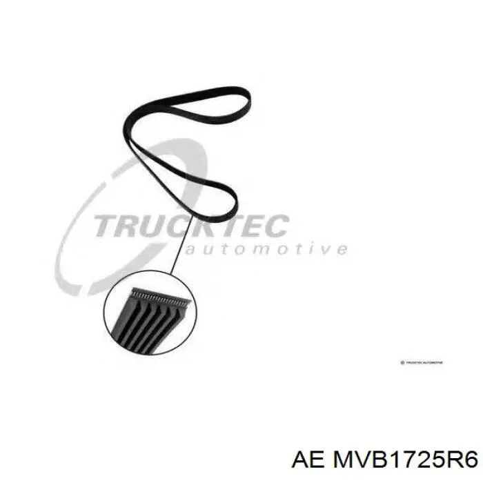 MVB1725R6 AE correa trapezoidal