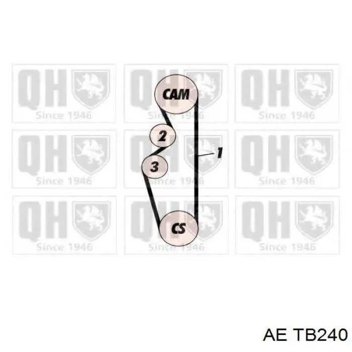 tb240 AE correa distribucion