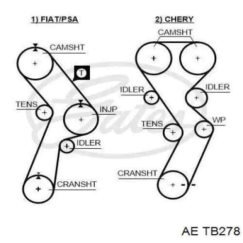 TB278 AE correa distribucion