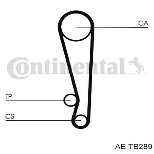 TB 289 AE correa distribucion