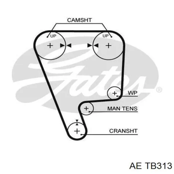 TB313 AE correa distribucion