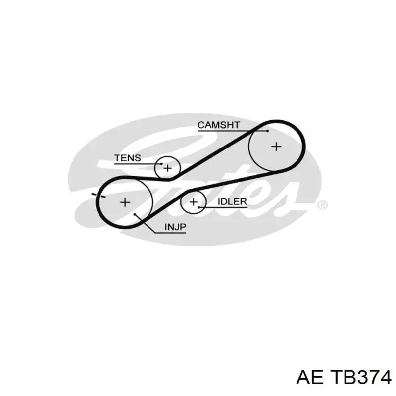 tb374 AE correa, bomba de alta presión
