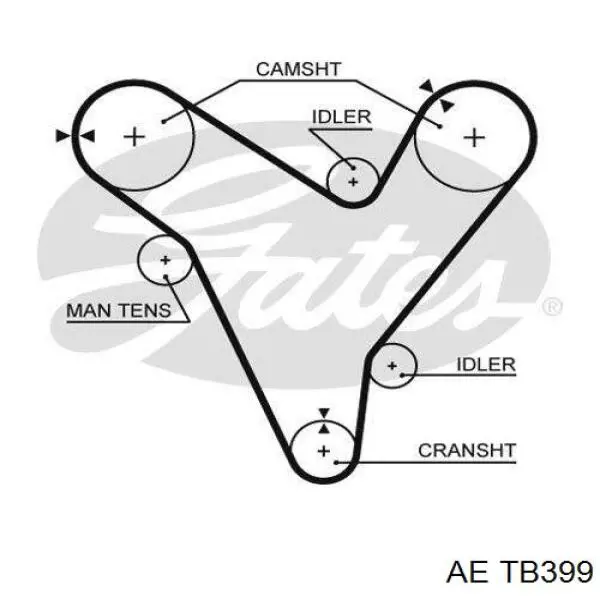 TB399 AE correa distribucion